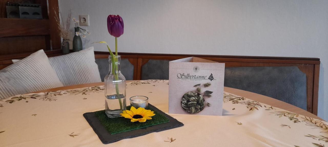 Hotel Silbertanne Hohegeiß Εξωτερικό φωτογραφία